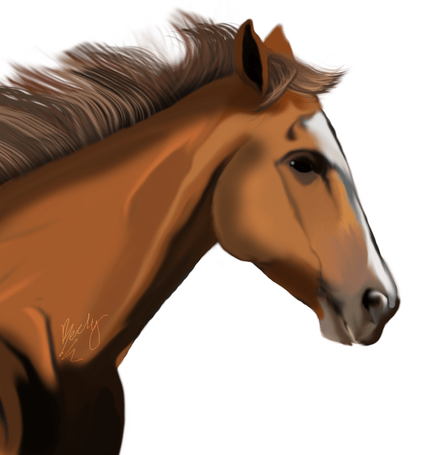 Horse Png Image Download Picture Transparent Background Transparent PNG Image