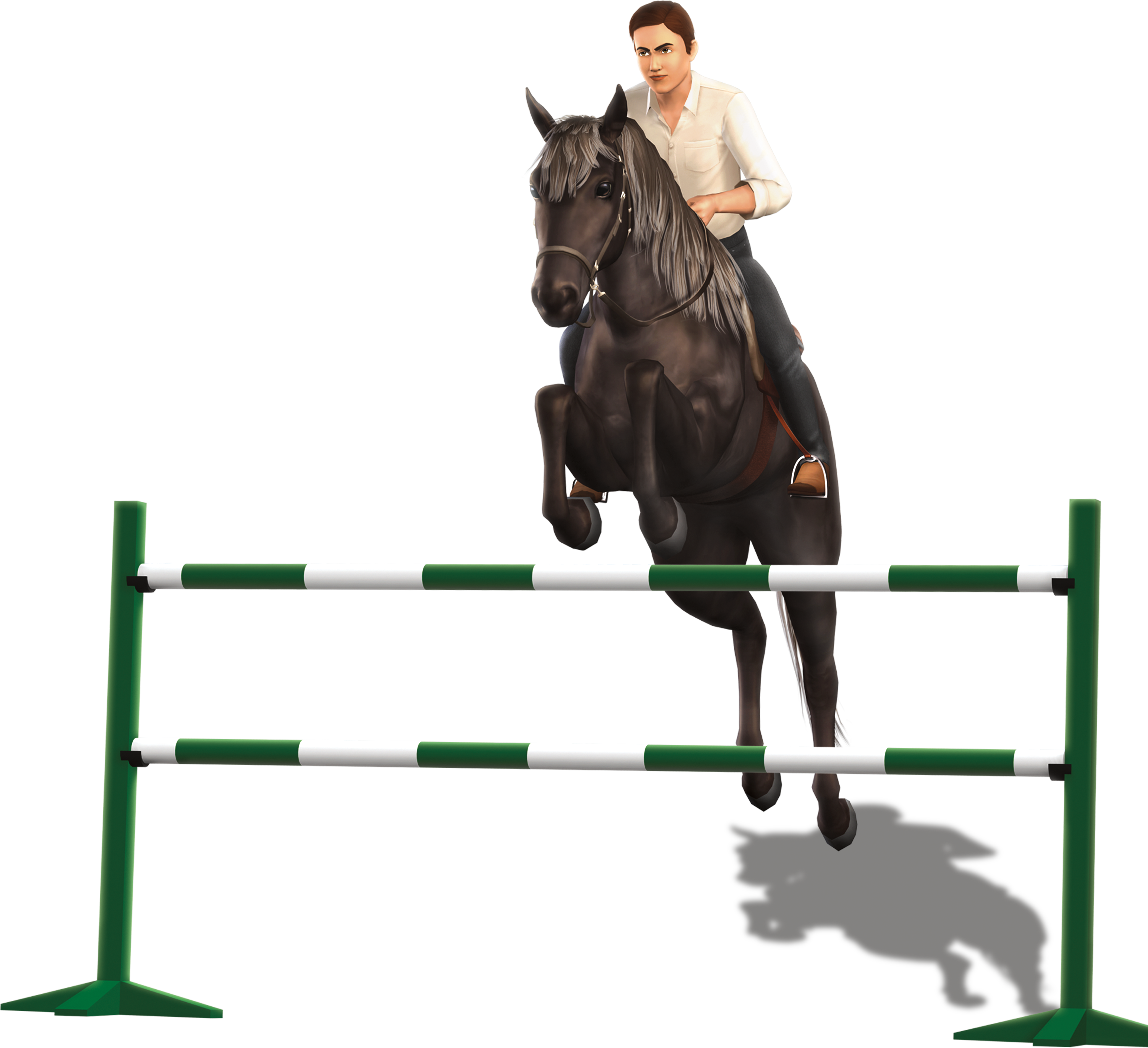 Sims Horse Show Jumping Pets English Riding Transparent PNG Image