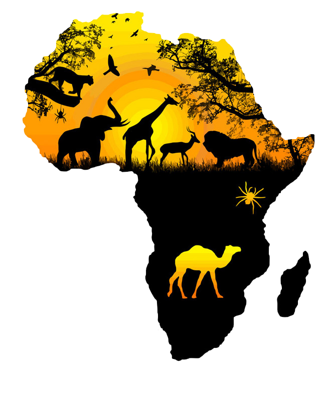 Wall Carnivoran Decal Africa Yellow Download Free Image Transparent PNG Image