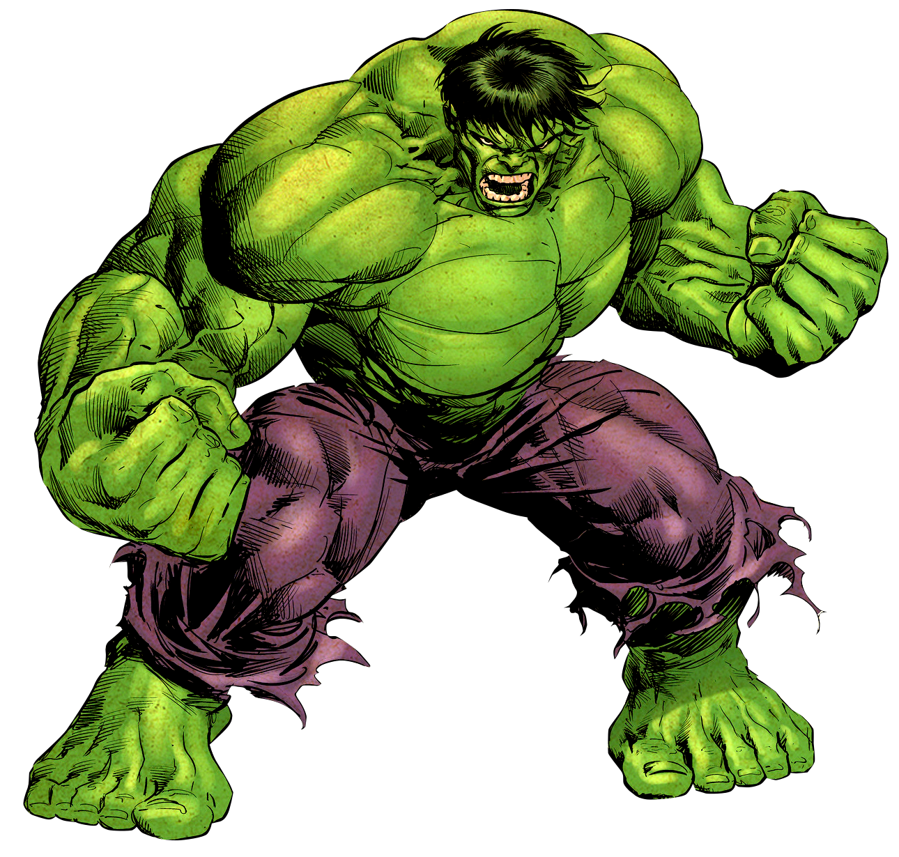 Superhero Incredible Shehulk Character Fictional Hulk Transparent PNG Image