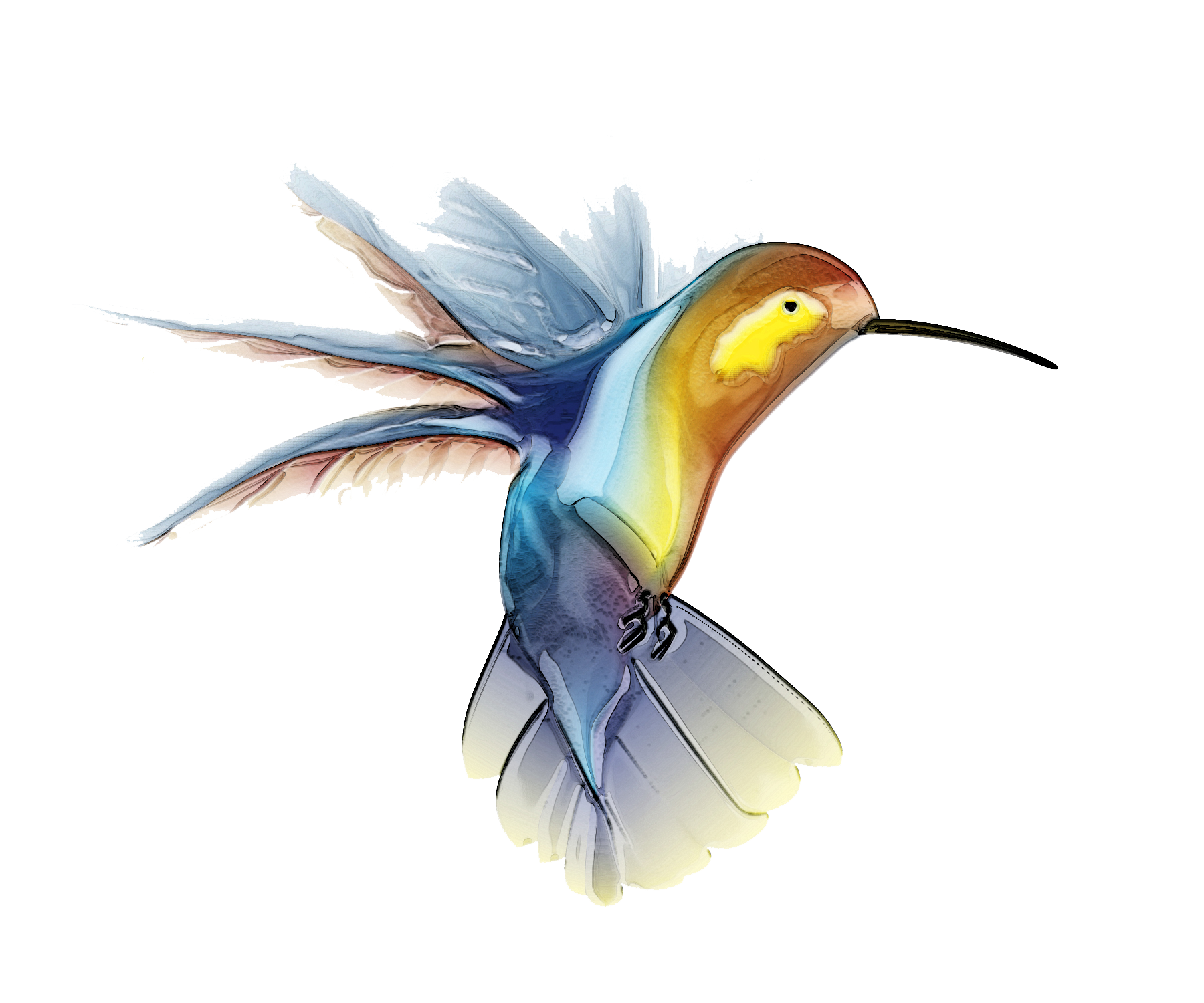 Hummingbird Tattoos Picture Transparent PNG Image