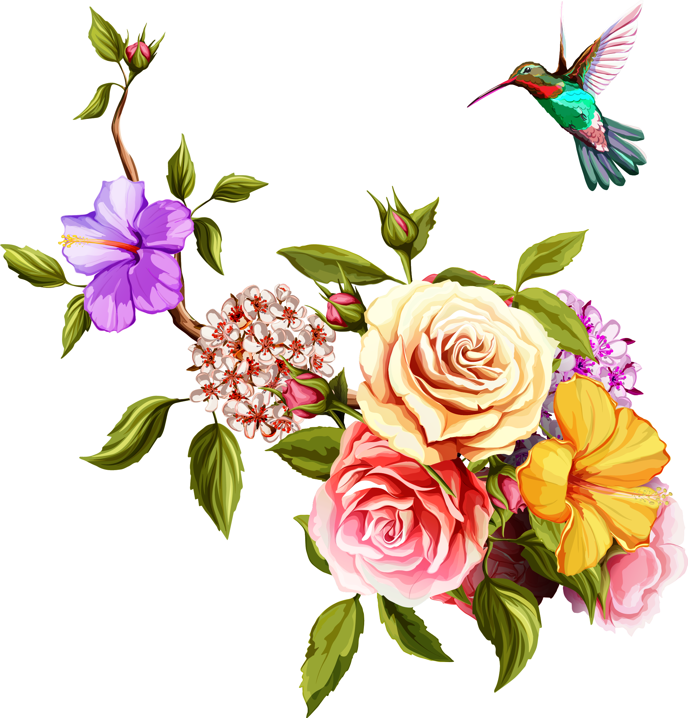 Watercolor Photos Flower Hummingbird Free Clipart HQ Transparent PNG Image