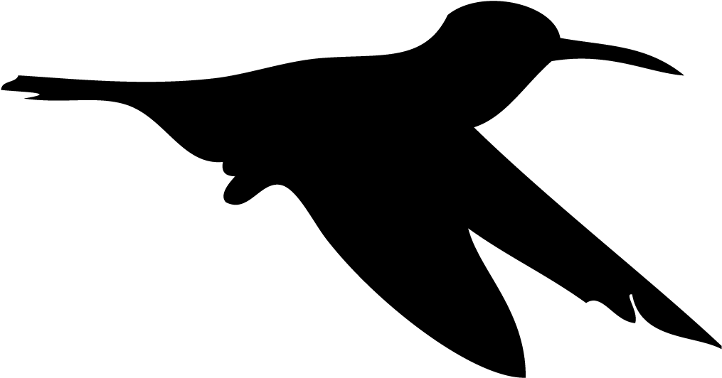 Flying Silhouette Hummingbird Free Clipart HD Transparent PNG Image