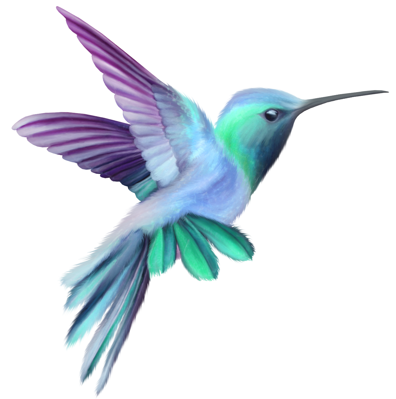 Watercolor Flying Hummingbird Free HQ Image Transparent PNG Image