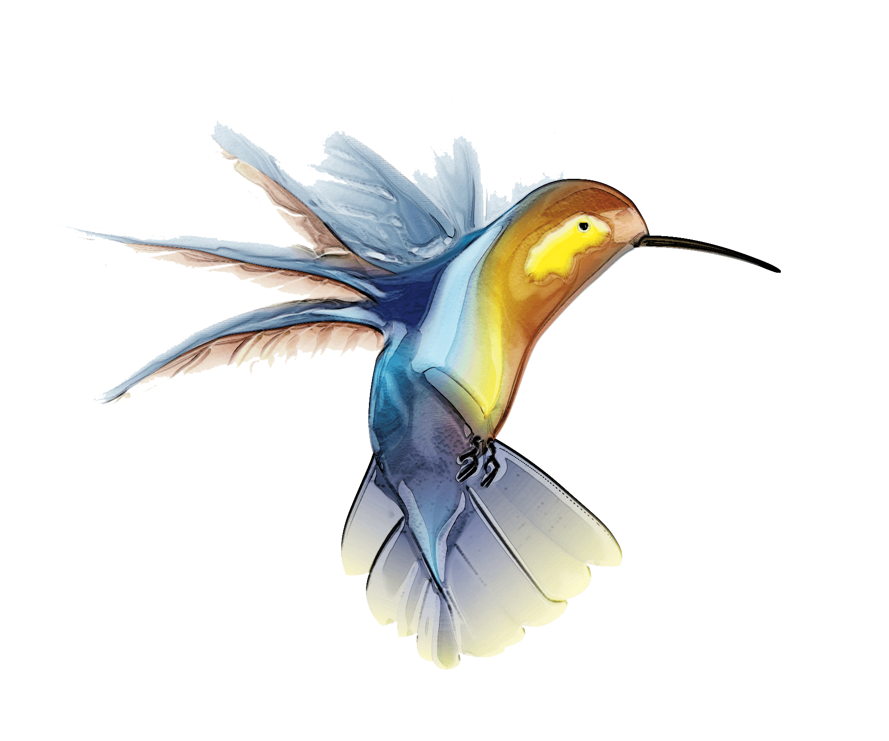 Watercolor Flying Hummingbird Free HQ Image Transparent PNG Image