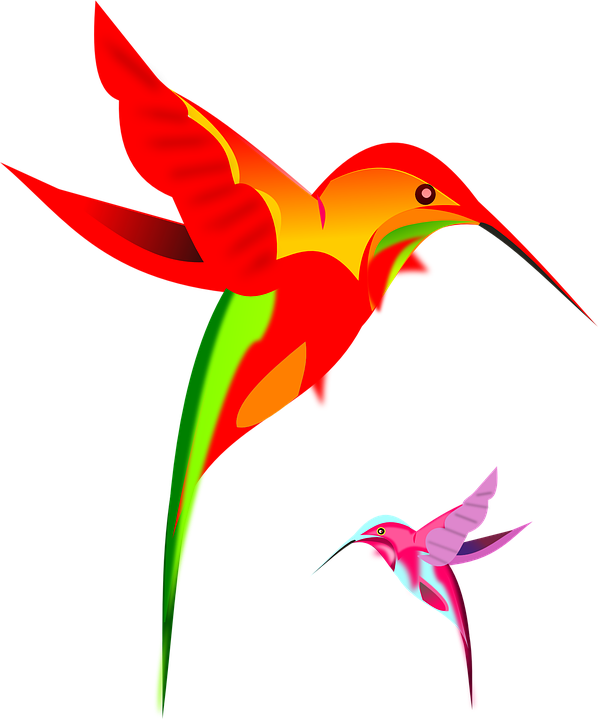 Silhouette Hummingbird Download Free Image Transparent PNG Image