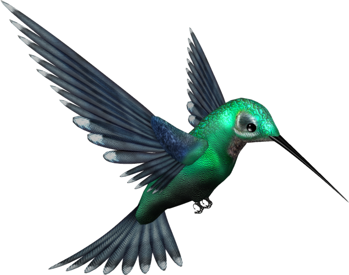 Turquoise Flying Hummingbird Free Download PNG HQ Transparent PNG Image