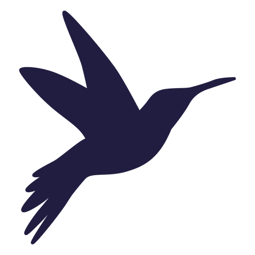 Flying Vector Hummingbird Free HQ Image Transparent PNG Image