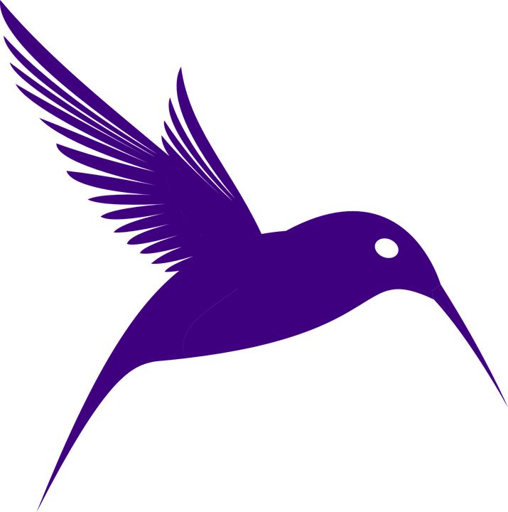 Watercolor Vector Hummingbird PNG Download Free Transparent PNG Image