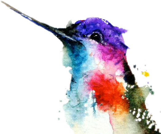 Watercolor Photos Hummingbird Free Download PNG HD Transparent PNG Image