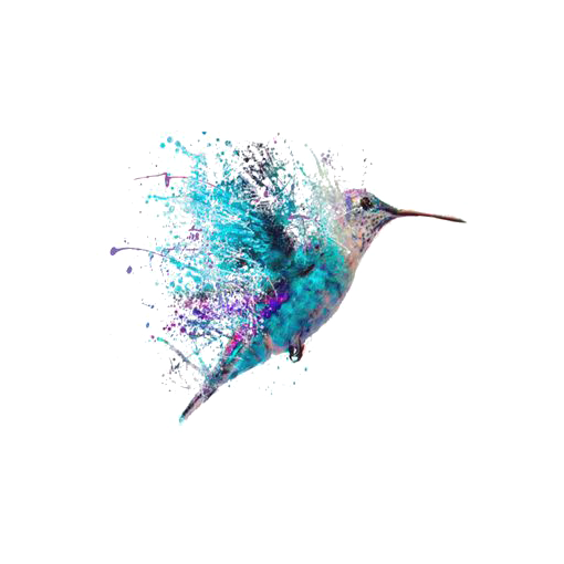 Watercolor Pic Hummingbird Free HQ Image Transparent PNG Image