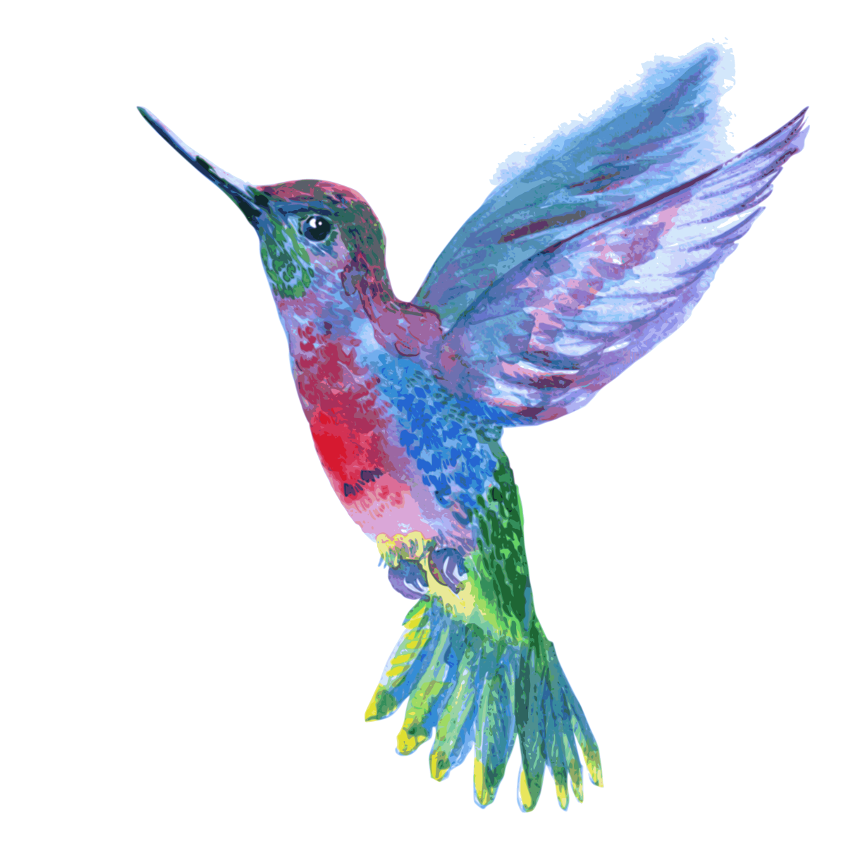 Watercolor Hummingbird Free Clipart HQ Transparent PNG Image