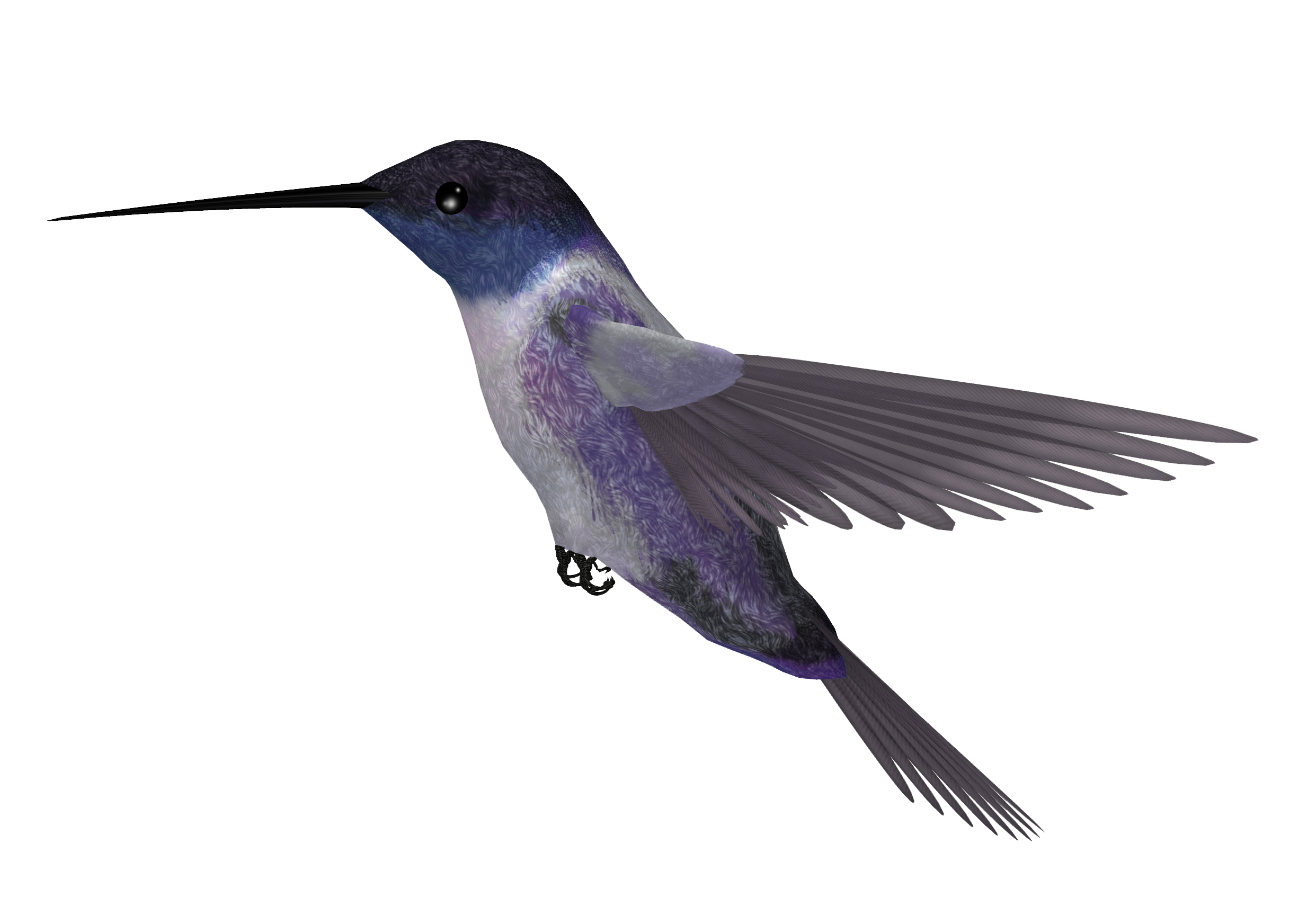 Hummingbird Png Picture Transparent PNG Image