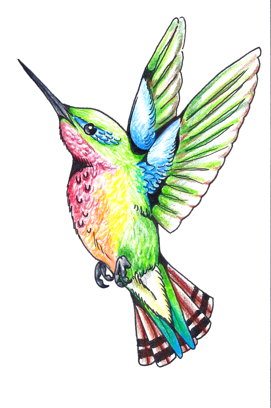 Hummingbird Tattoos Png Clipart Transparent PNG Image