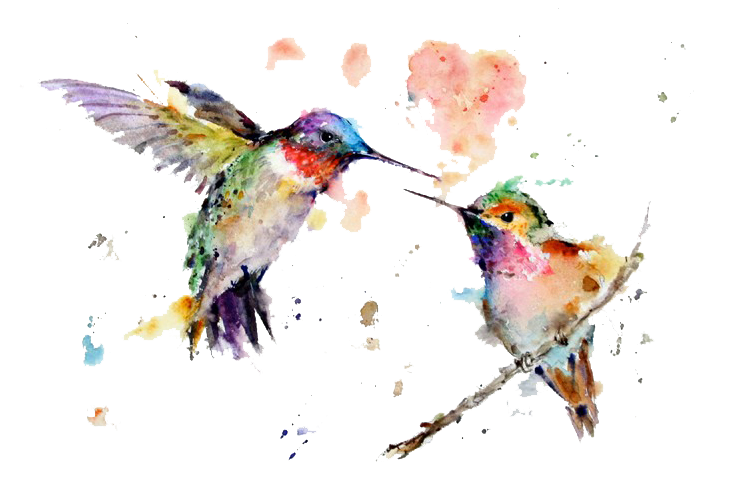 Watercolor Art Painting Drawing Hummingbird Download HQ PNG Transparent PNG Image