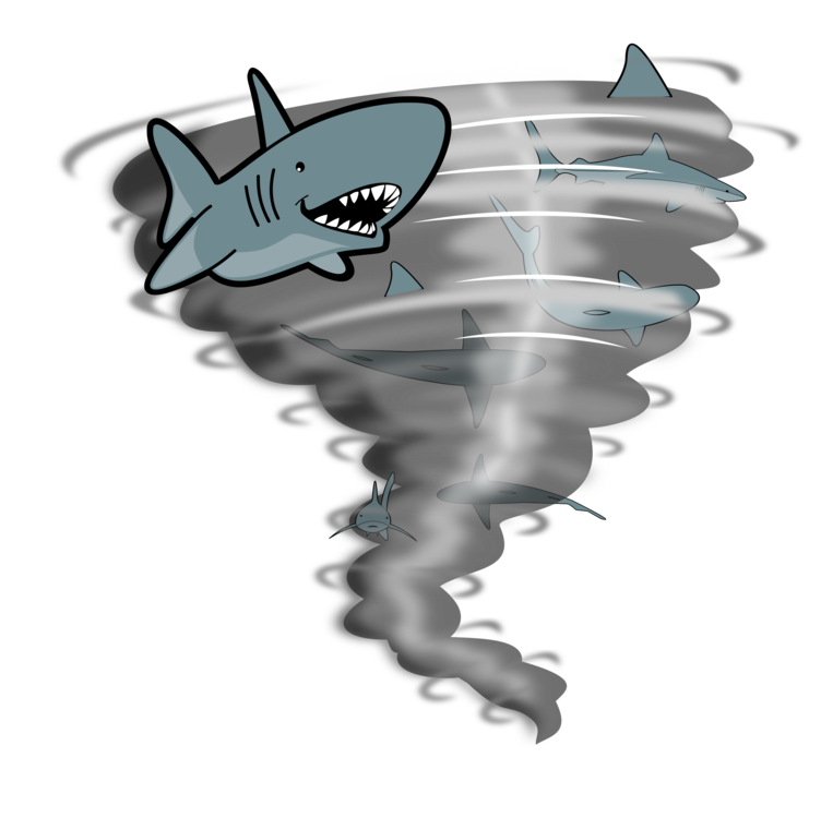 Cyclone Photos Animated Hurricane Free Transparent Image HQ Transparent PNG Image