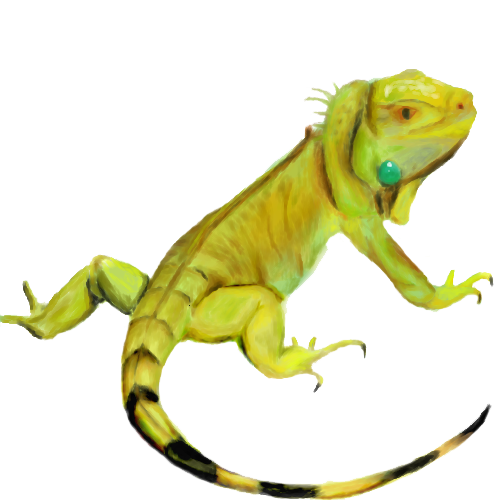 Iguana Hd Transparent PNG Image