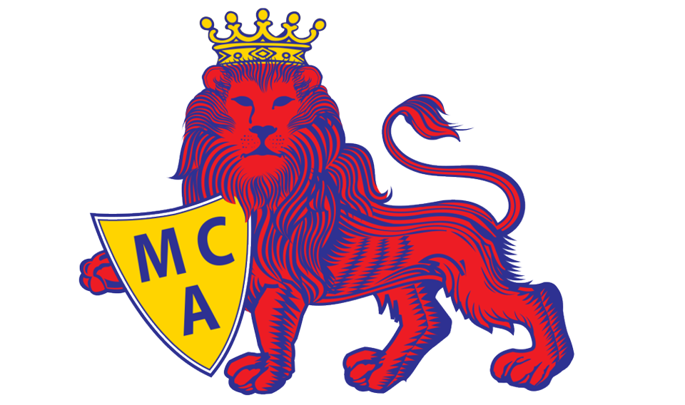 Cricket Mumbai National India Team Organism Red Transparent PNG Image