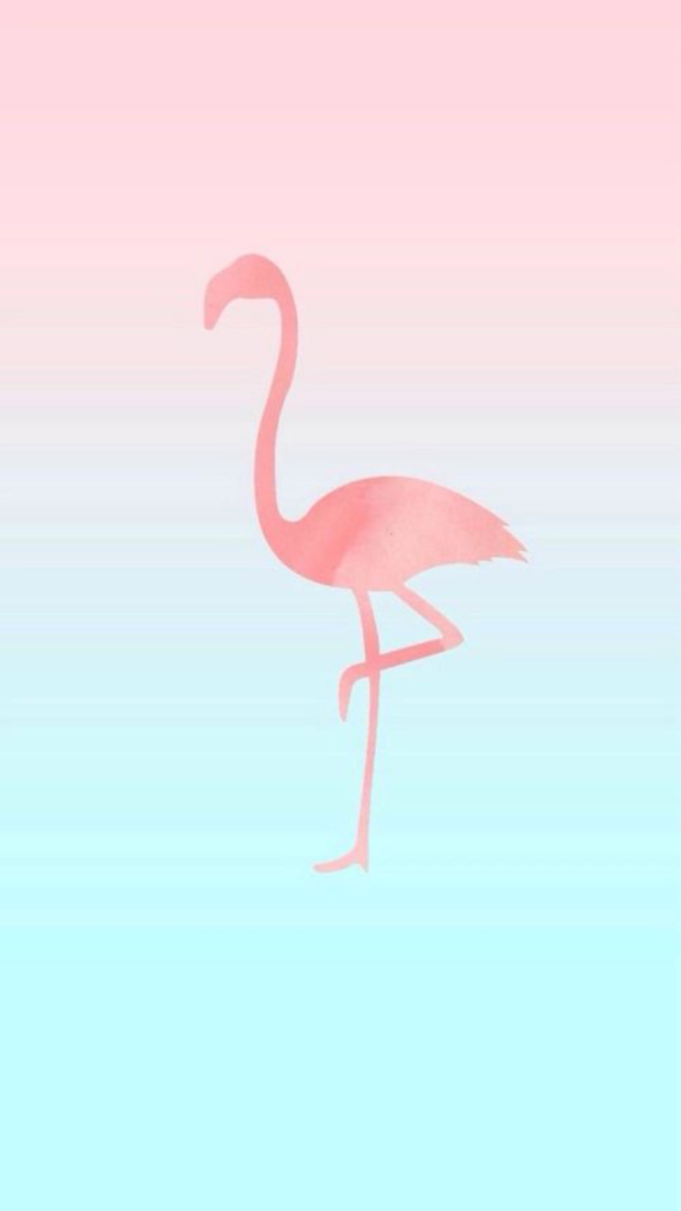 Flamingo Flamingos Iphone Wallpaper Desktop Free HQ Image Transparent PNG Image