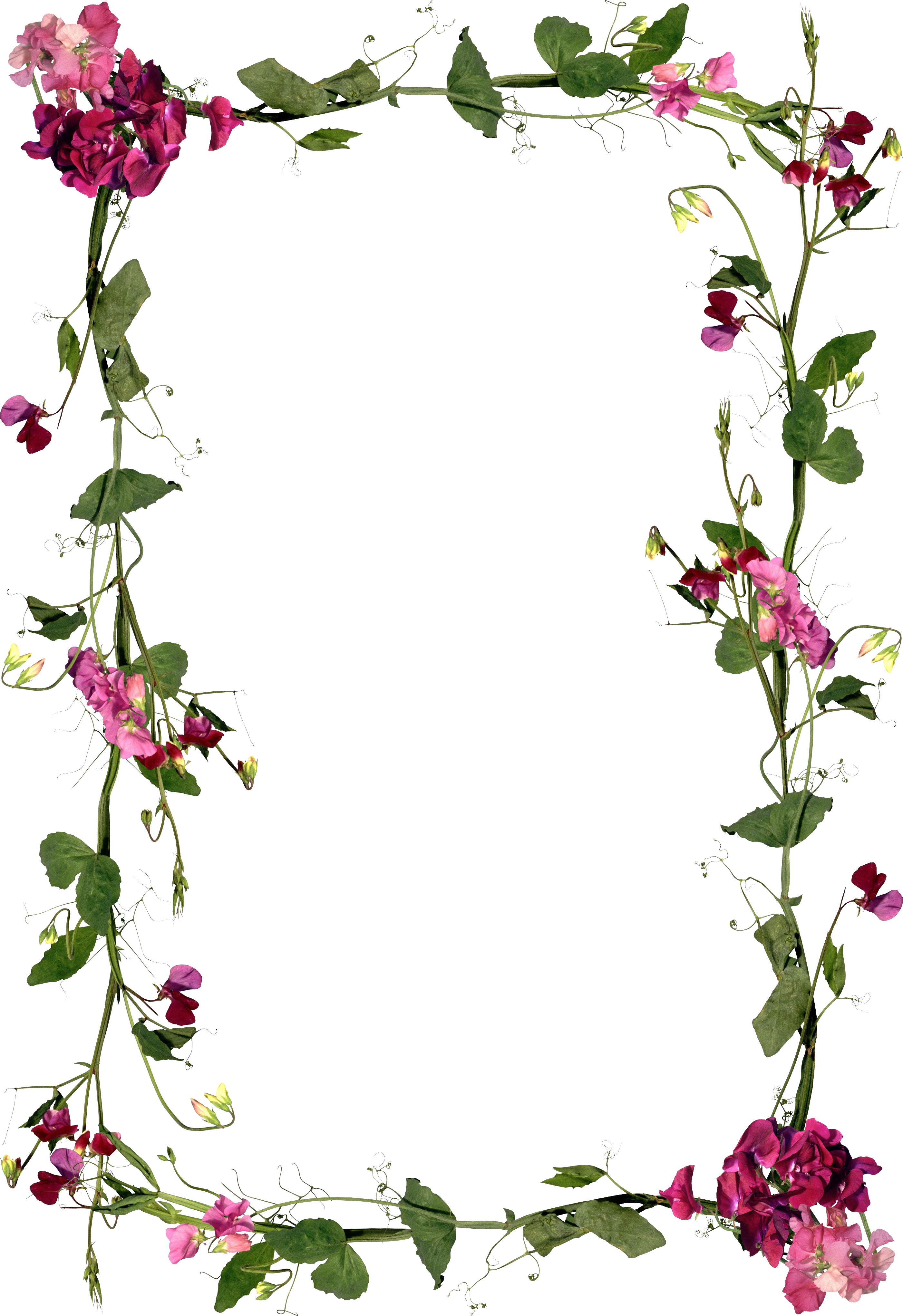 Flower Mubarak Frame Greeting Note Al-Adha Eid Transparent PNG Image