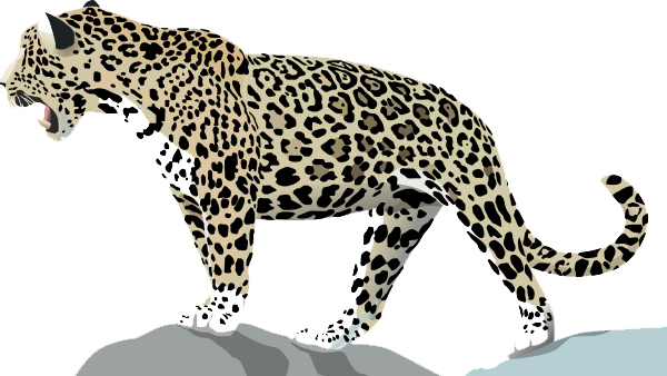 Jaguar Transparent Transparent PNG Image