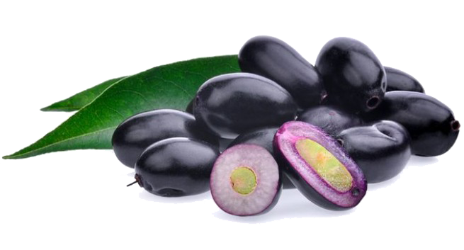 Jamun Java Plum Transparent Transparent PNG Image