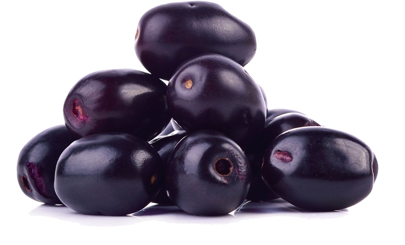 Jamun Java Plum Transparent Image Transparent PNG Image