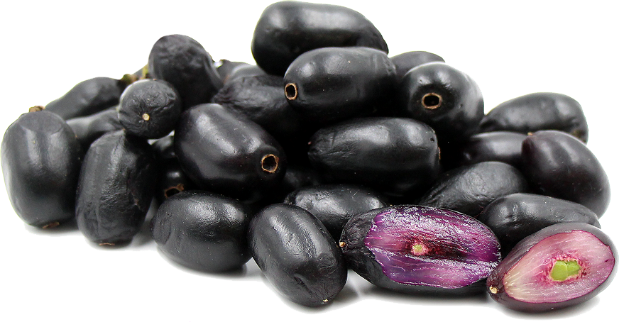 Jamun Java Plum Photos Transparent PNG Image