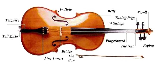 Cello Picture Free Clipart HD Transparent PNG Image