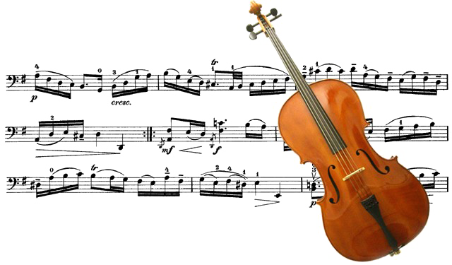 Cello PNG Download Free Transparent PNG Image