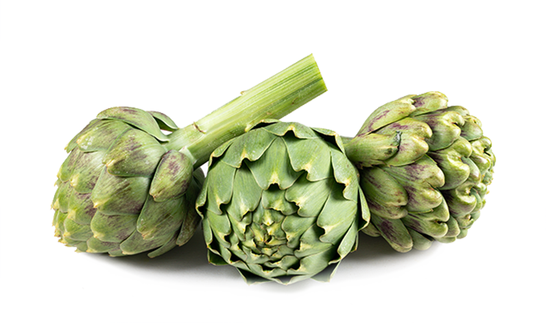 Single Artichoke PNG File HD Transparent PNG Image