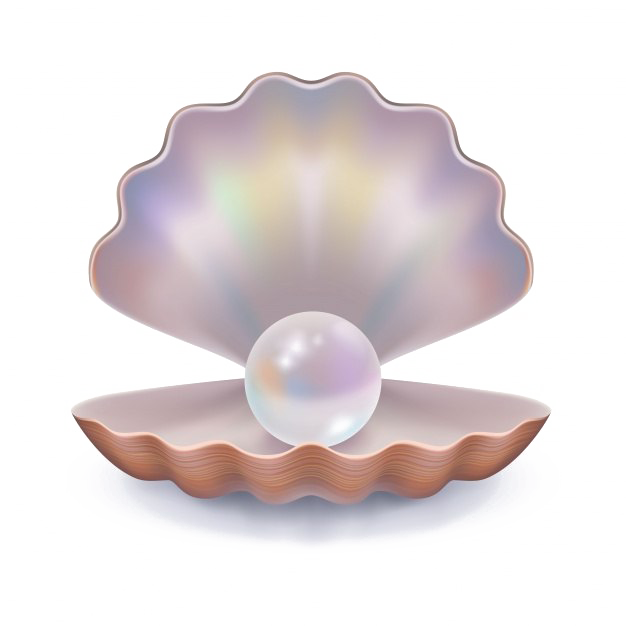 Pearl Free Clipart HD Transparent PNG Image