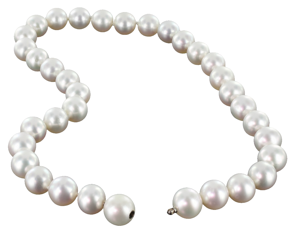 Pearl Picture Free HQ Image Transparent PNG Image