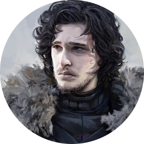 Art Snow Hair Facial Portrait Jon Transparent PNG Image