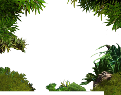 Jungle Border Transparent Image Transparent PNG Image