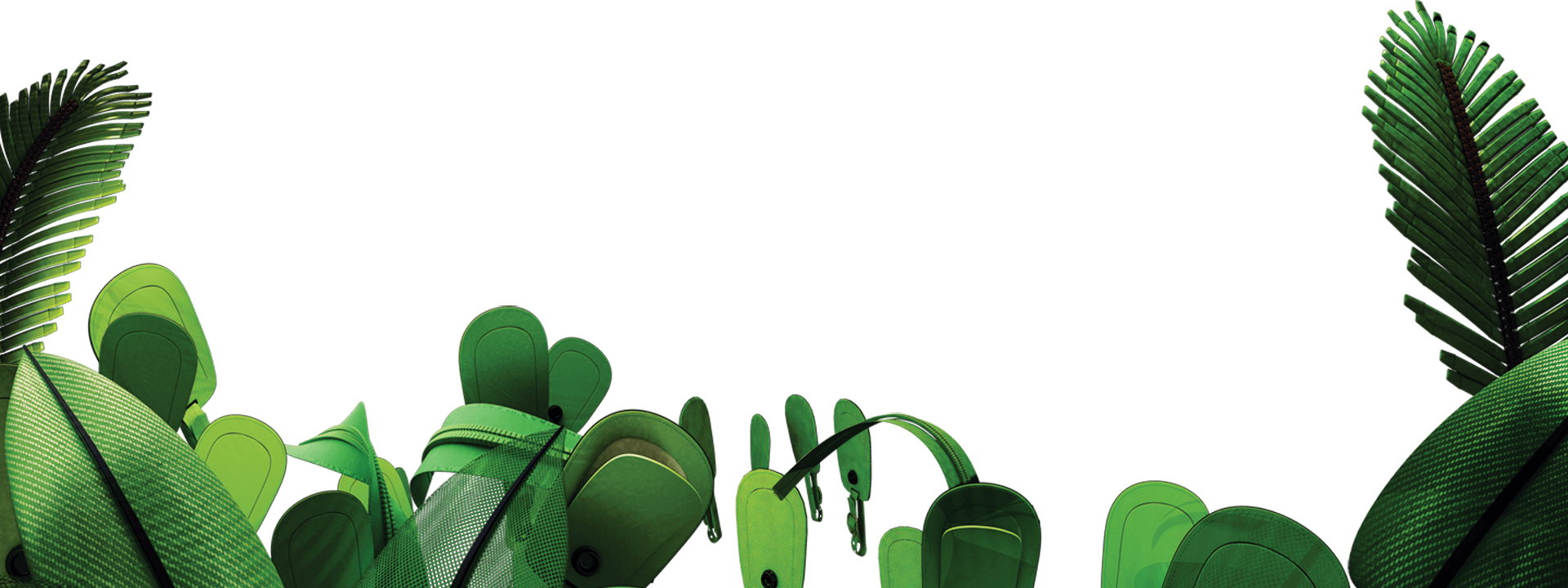 Jungle Picture Transparent PNG Image