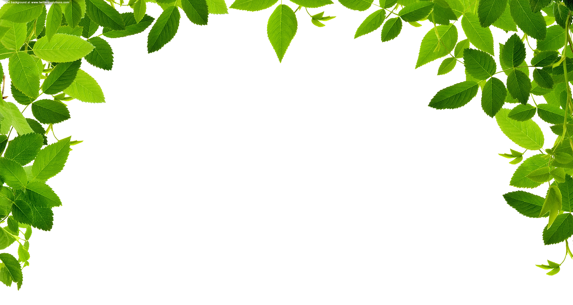 Jungle Border Image Transparent PNG Image