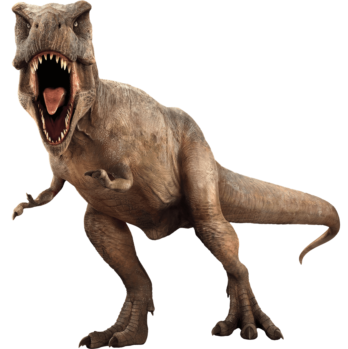 Jurassic Park Picture Transparent PNG Image