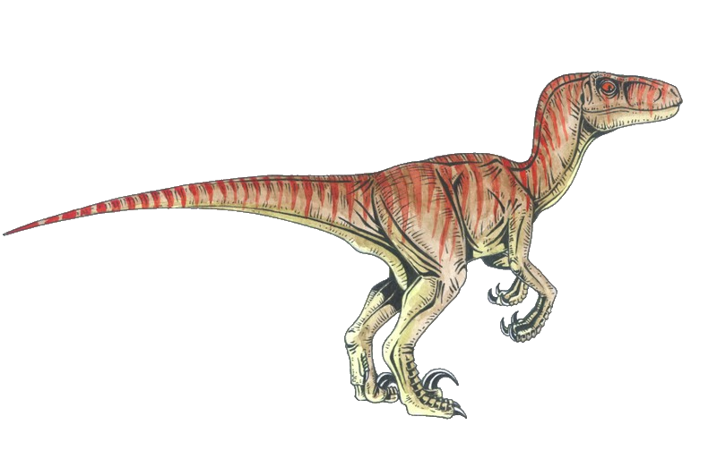 Velociraptor Tyrannosaurus Deinonychus Dinosaur PNG Download Free Transparent PNG Image