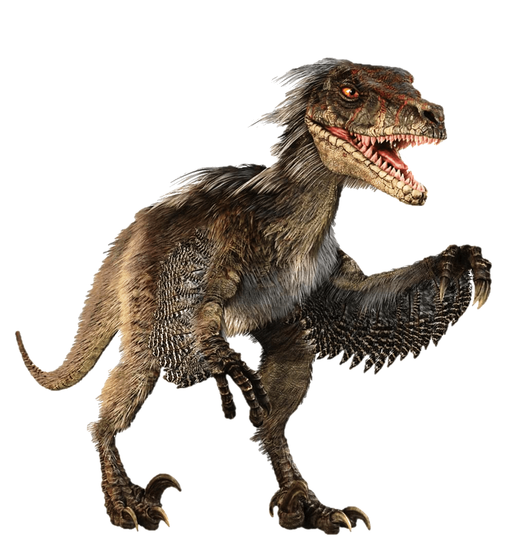 Velociraptor Dinosaur Tyrannosaurus Free HD Image Transparent PNG Image