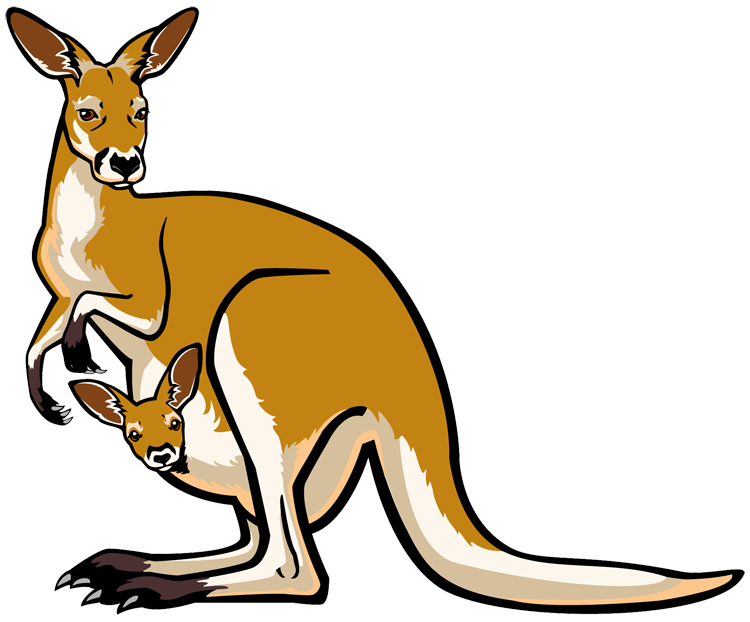 Kangaroo Joey HQ Image Free Transparent PNG Image