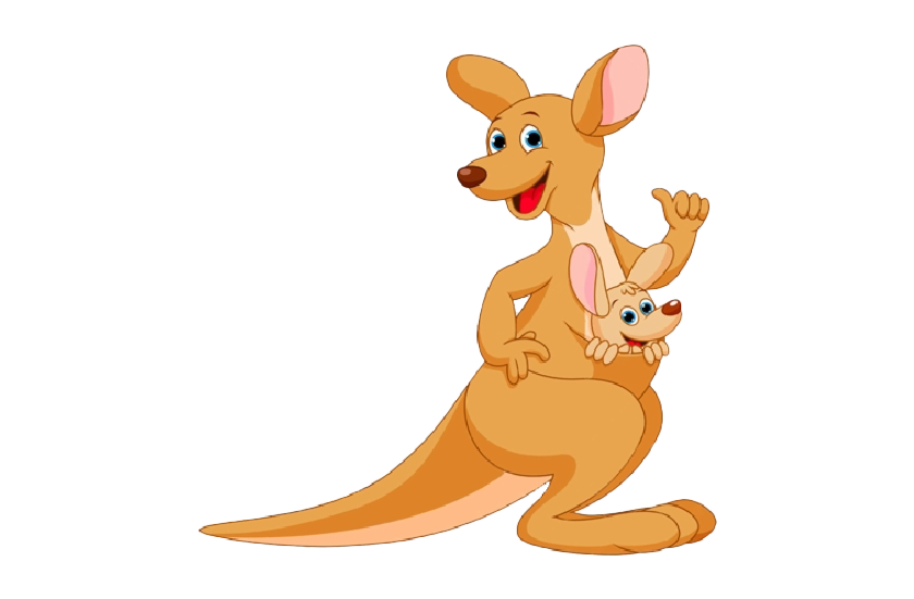 Kangaroo Pic Joey Free Download PNG HD Transparent PNG Image