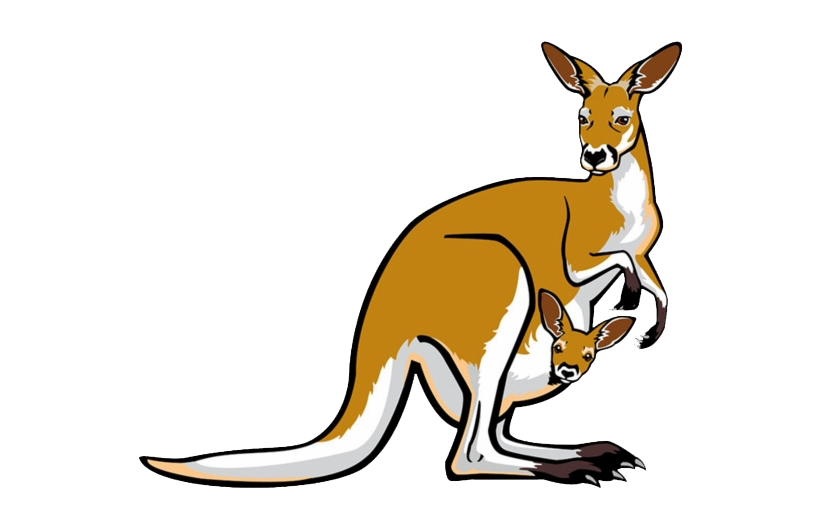 Kangaroo Joey Free HD Image Transparent PNG Image