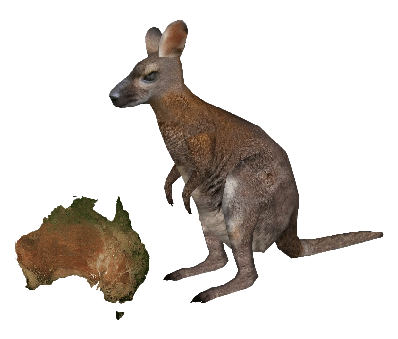 Wallaby Kangaroo Free PNG HQ Transparent PNG Image