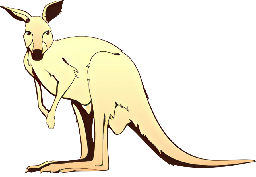 Images Wallaby Kangaroo Free Transparent Image HD Transparent PNG Image