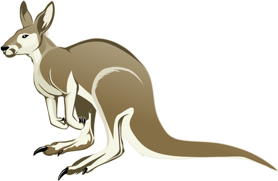 Kangaroo Vector Free Download PNG HQ Transparent PNG Image