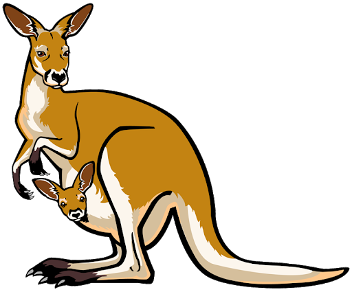 Kangaroo Vector Pic Free HQ Image Transparent PNG Image