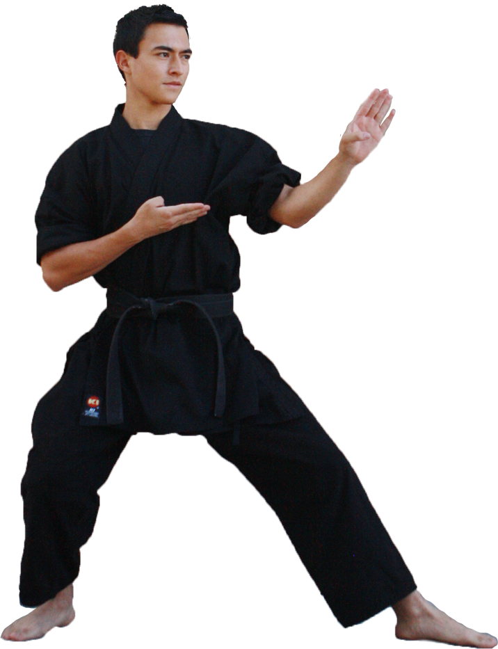 Fighter Karate Photos Black Male Belt Transparent PNG Image