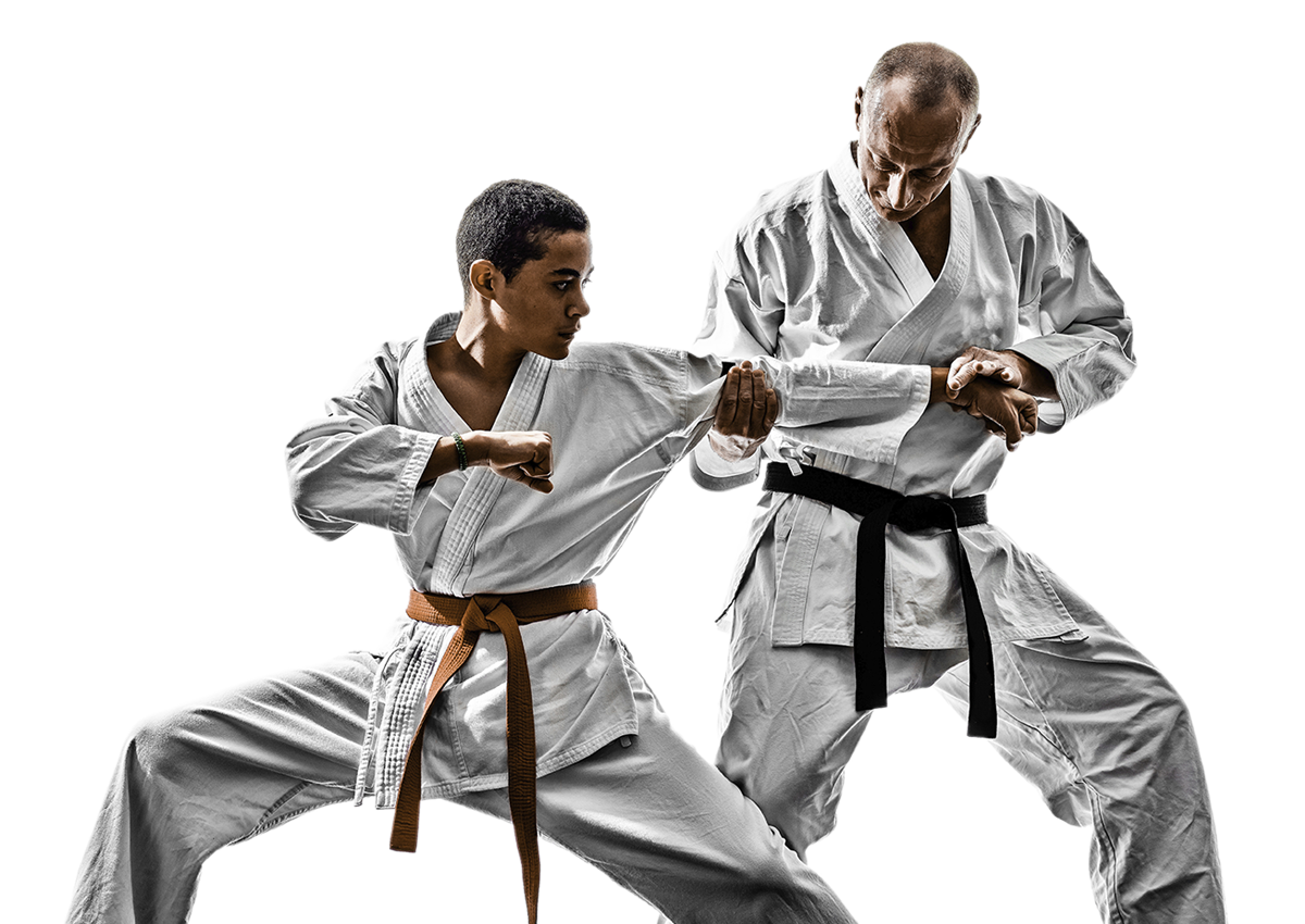 Karate Male Fighter Free Clipart HQ Transparent PNG Image