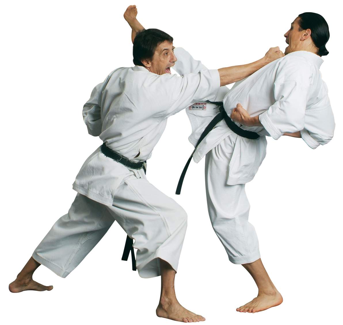 Karate Martial Male Fighter Free Photo Transparent PNG Image